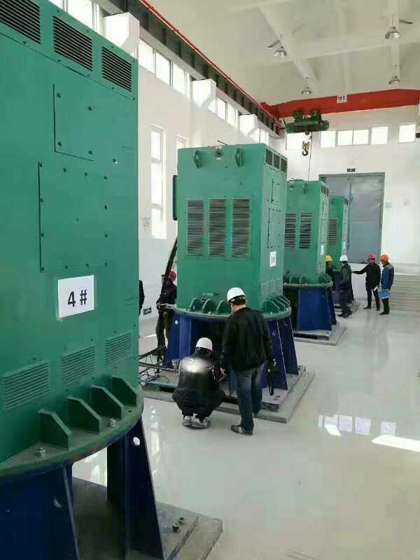 黄埔某污水处理厂使用我厂的立式高压电机安装现场质量怎么样